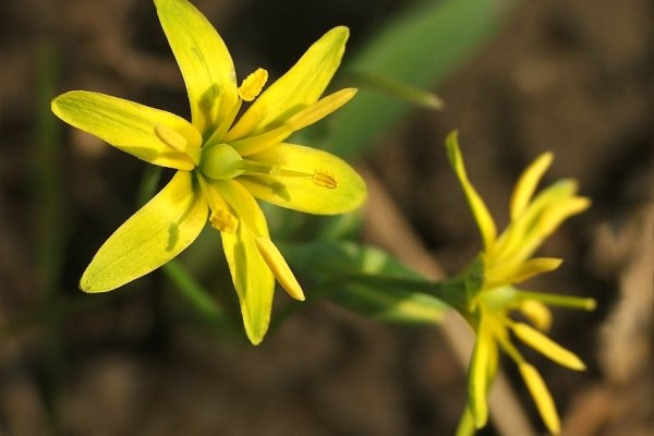 W stronę Słońca...