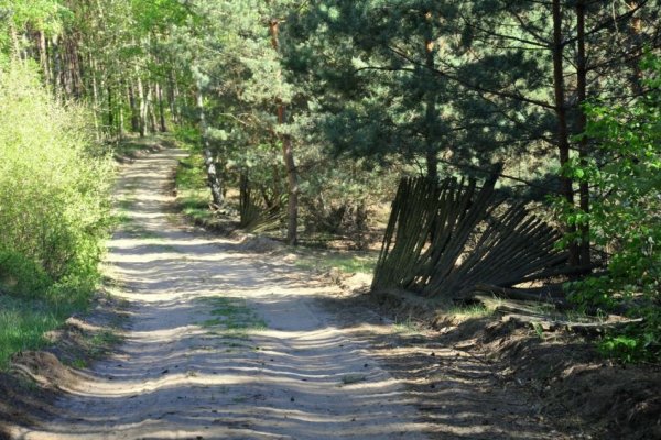 Droga z przeszłości