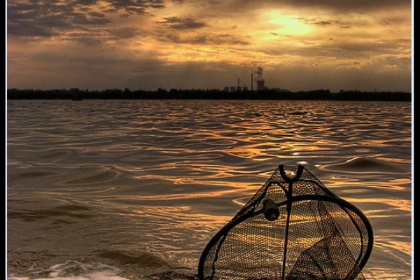 Mały połów w wielkim mieście