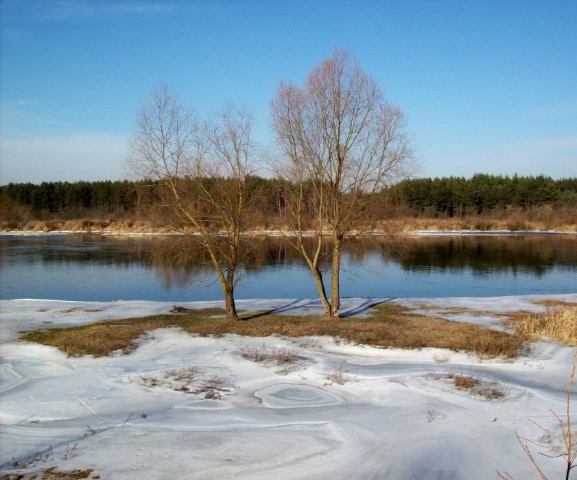 Zima niedługo ustąpi