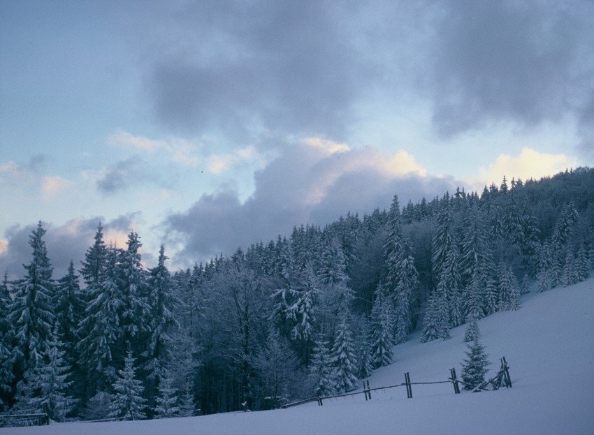 Beskid Żywiecki - 96