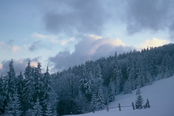 Beskid Żywiecki - 96