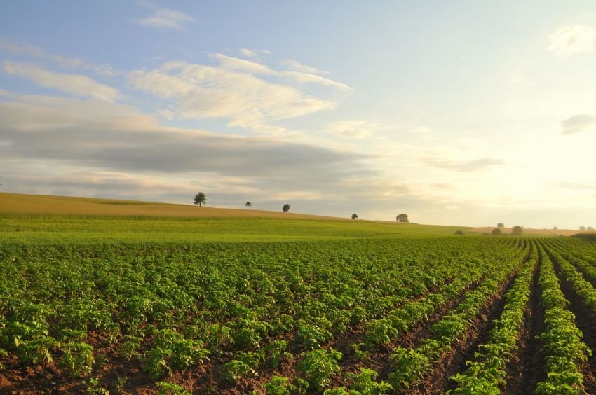 Zwyczajne w dziwnym świetle..