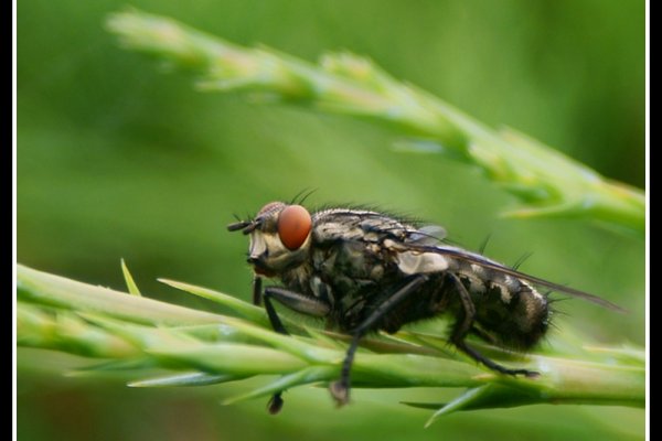 Byle by nie spaść...