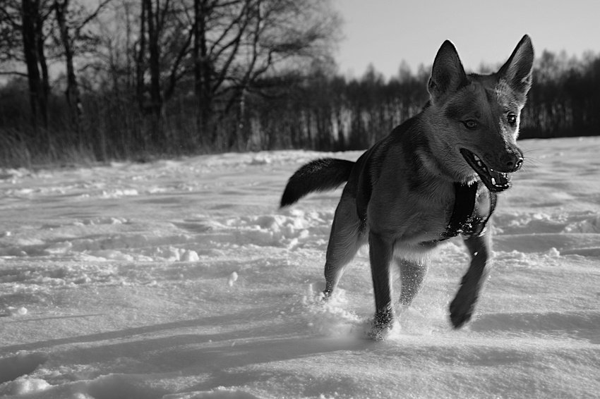 Wstawać póki życie miłe!