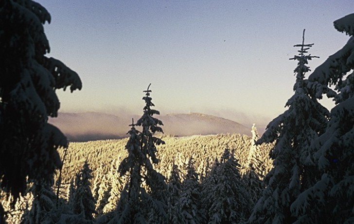 Mrozy były ostre!!!