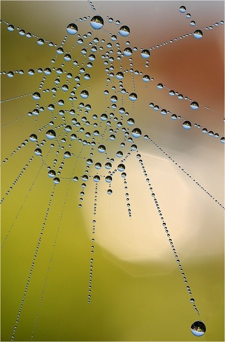 Oświetlając Ziemię