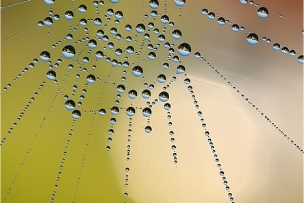 Oświetlając Ziemię