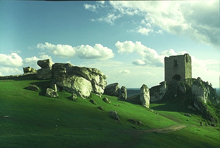 Zieleń Olsztyna - 95