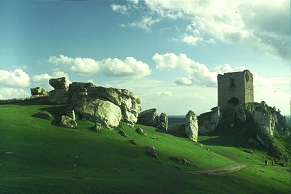 Zieleń Olsztyna - 95