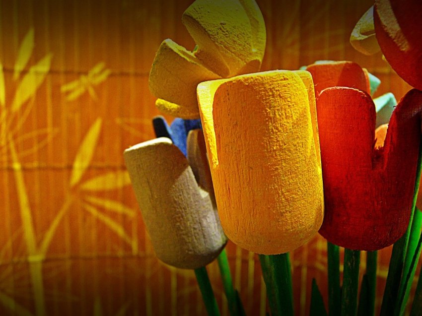 ..drewniana wiosna..