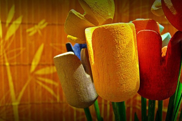 ..drewniana wiosna..