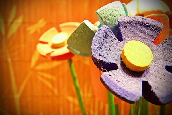 ...drewniana wiosna 2...