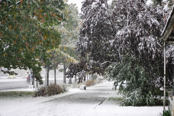 Jesienno-zimowa aura