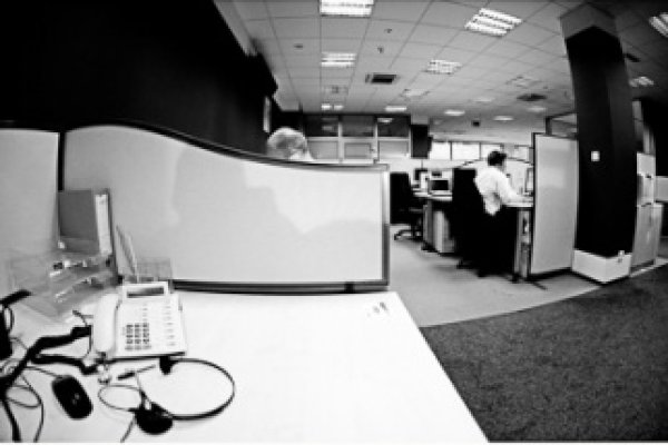 I am a Corporate Fish