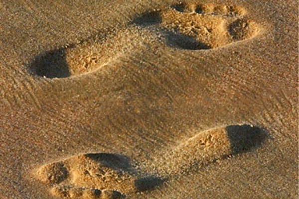 Wklęsłe i wypukłe