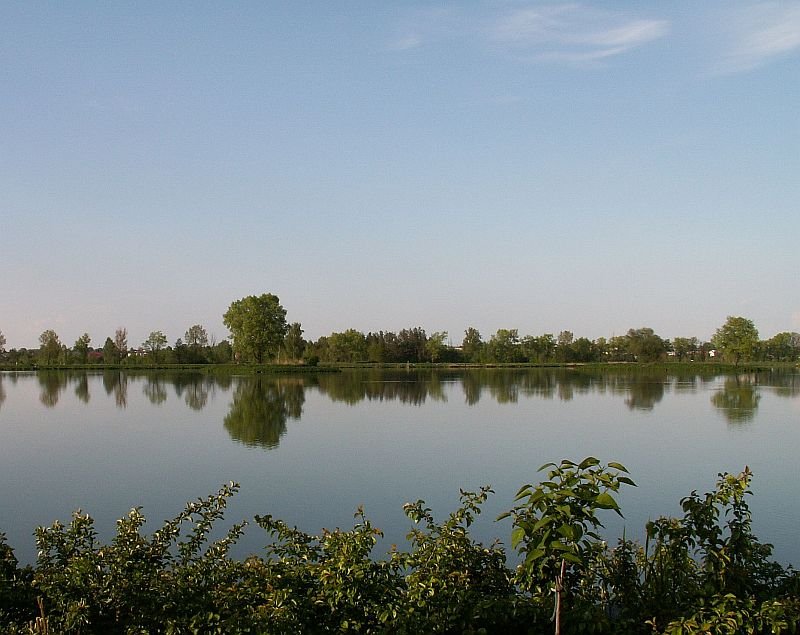 zalew janów lubelski