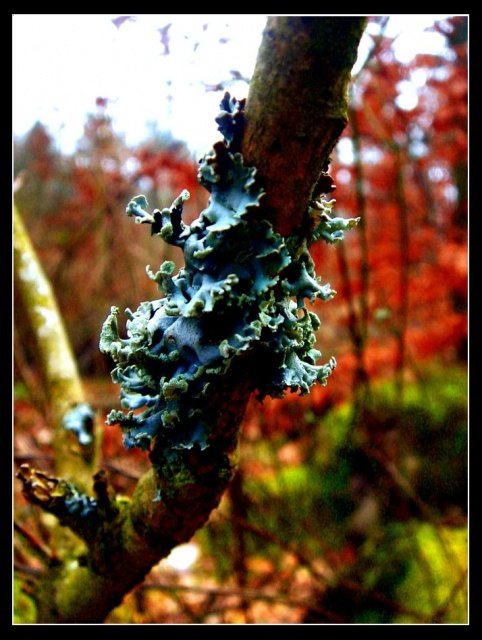 Dziwne jest oblicze natury ;)