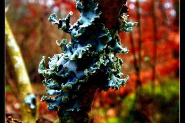 Dziwne jest oblicze natury ;)