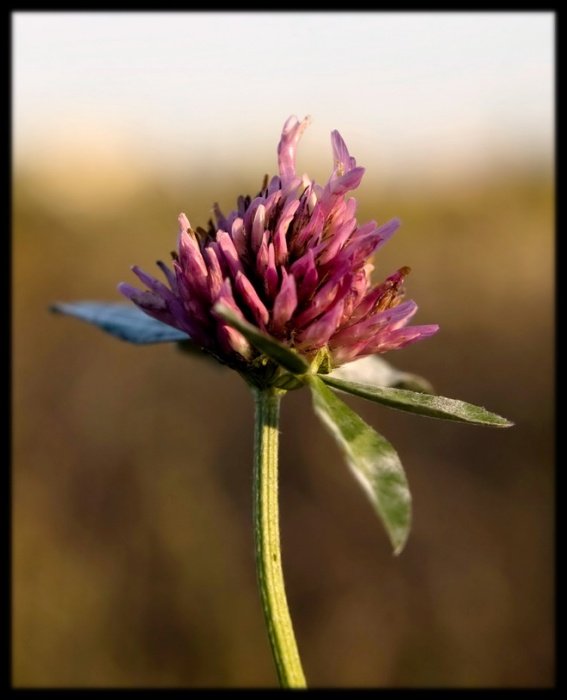 ostatnie podrygi lata...