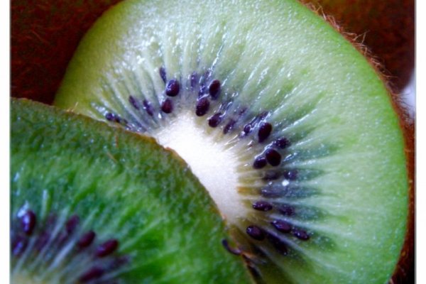 kiwi.