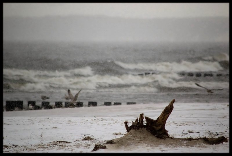 morskie opowieści...
