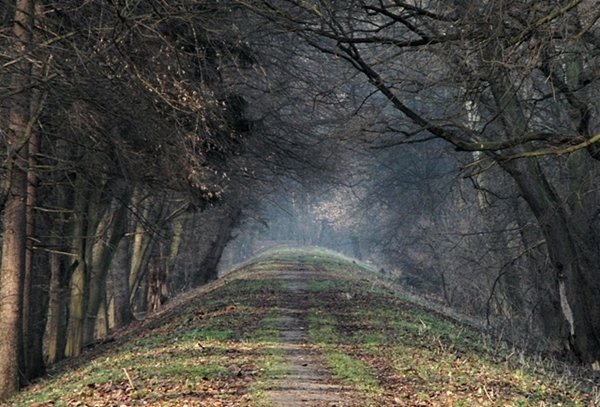 spacerek nad wisłą