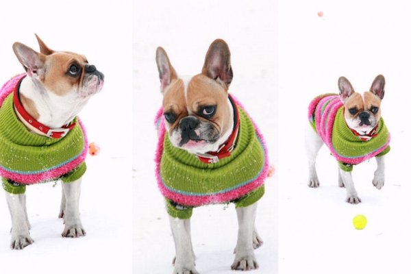 Pobawisz się ze mną? ;)