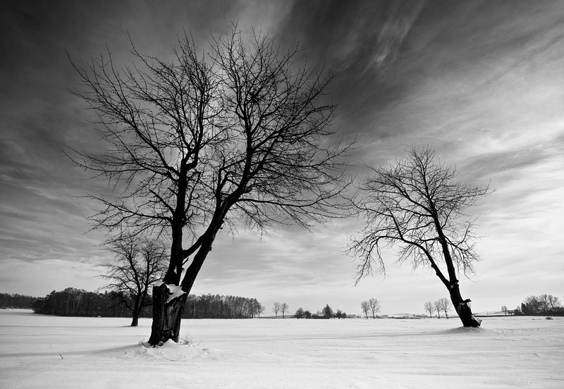 Trzej muszkieterowie