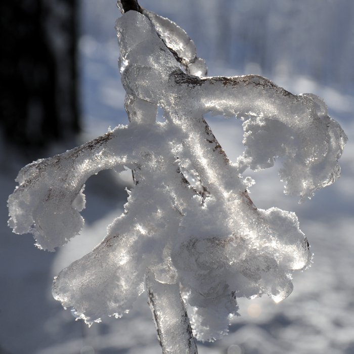 W zimowej odsłonie #2