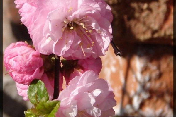 No jak wiosna to wiosna:)