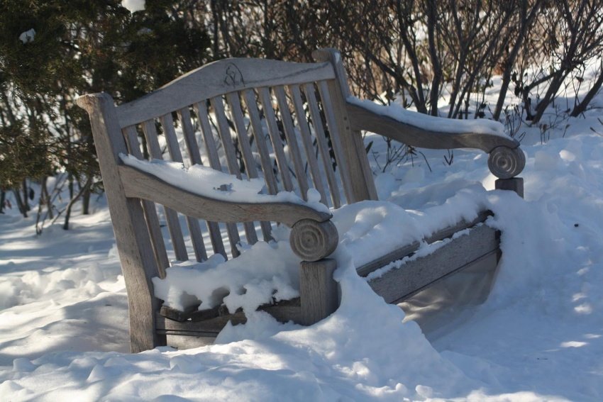 oczekiwanie na wiosne...