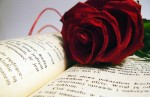 Czerwona róża na książce
