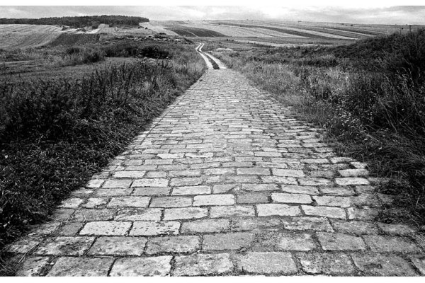 Wszystkie drogi prowadzą na Roztocze