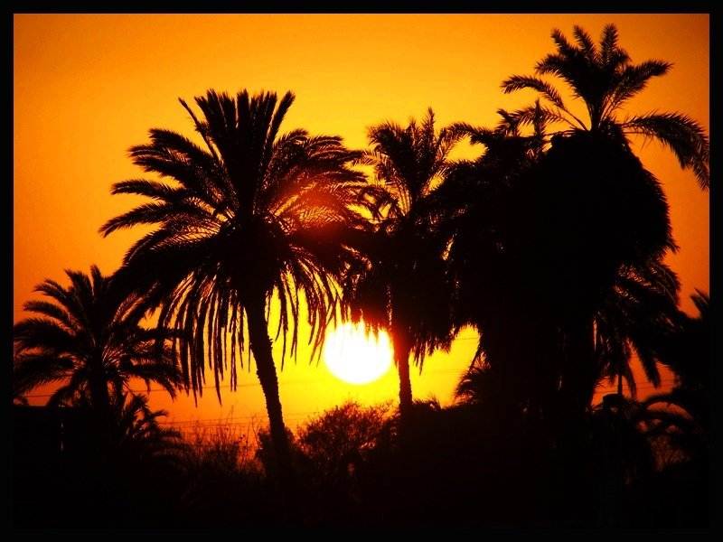 Podróż Boga Słońca