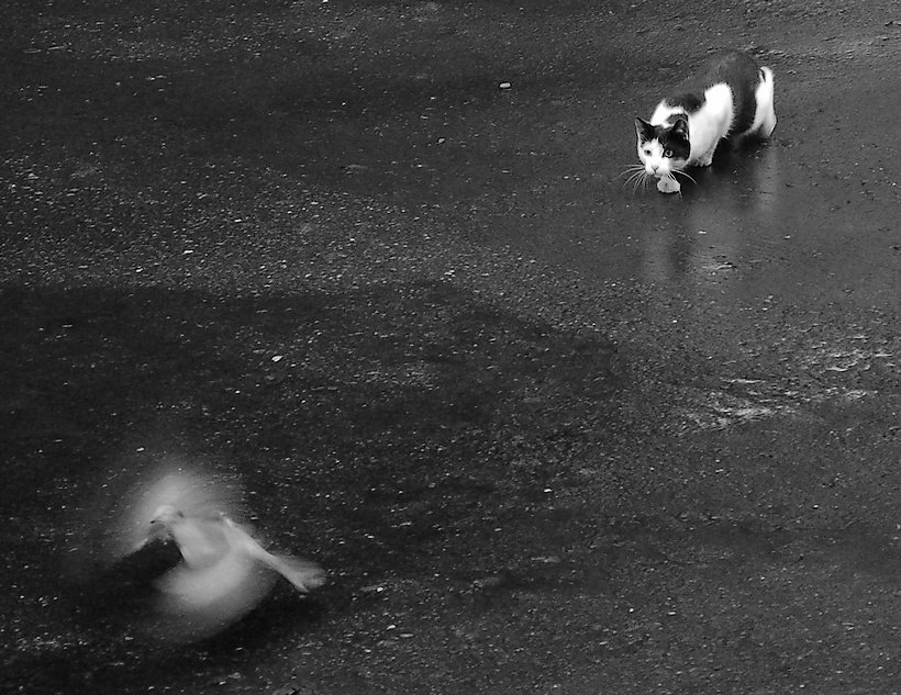 O jeden krok za daleko