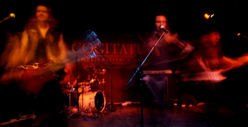 Jelonek w Cogitaturze