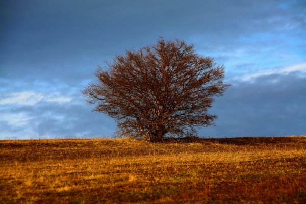 klasyka- pozycja obowiązkowa