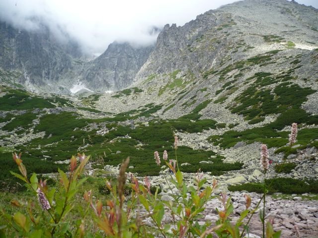 Tatry