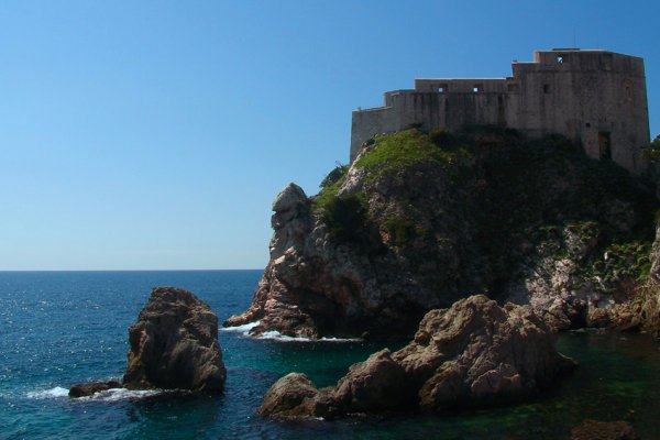 wypatrując gości...