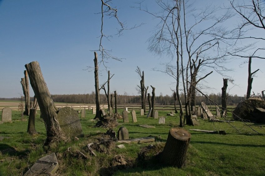 Cmentarz żydowski 2