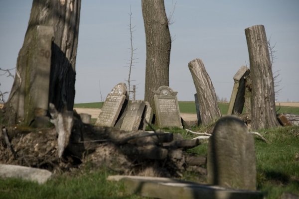 Cmentarz żydowski 3