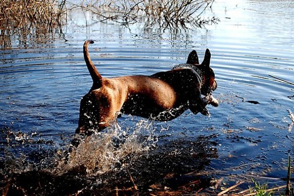 Na głęboką wodę.