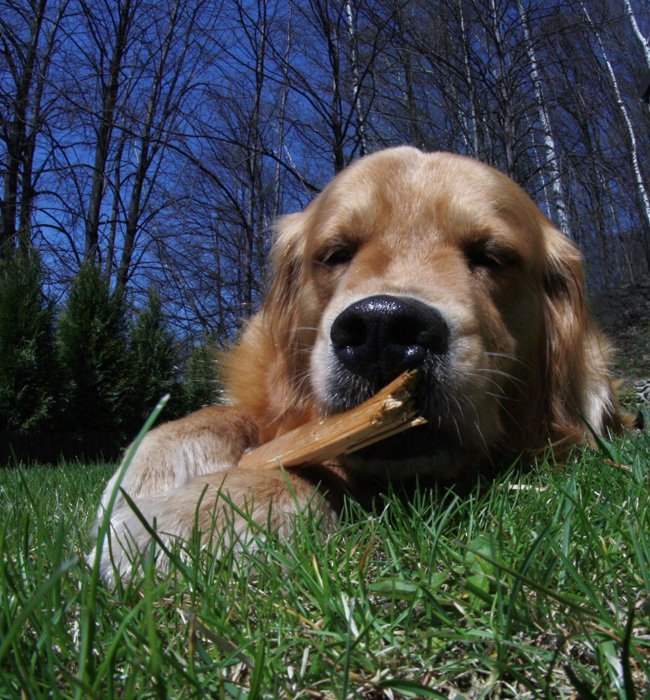 w krzywym zwierciadle