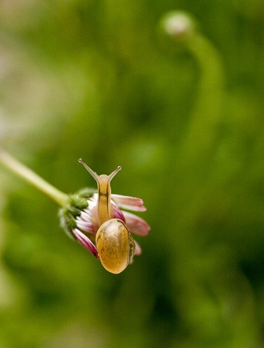 a co! też sobie makro porobie :)