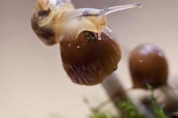 mojej obślizgłej sesji ciąg dalszy :)