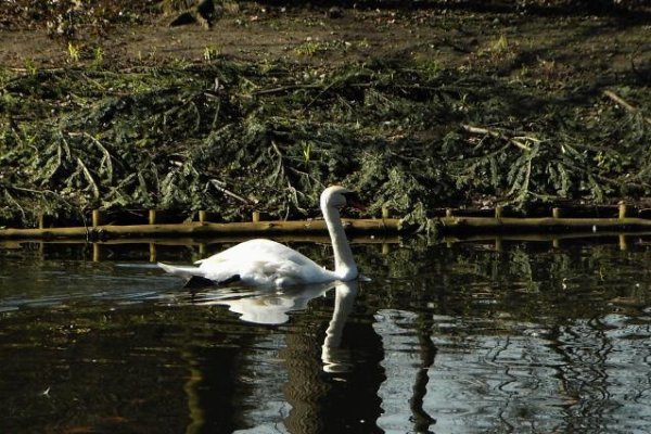 Zdjęcie z wycieczki do Warszawy